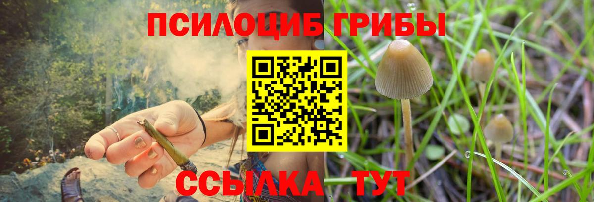 Псилоцибиновые грибы мицелий Волжский